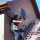 satellite communication services provider